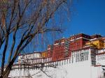 h01_potala.jpg - 1024x768 - 383Kb - 2002/12/16